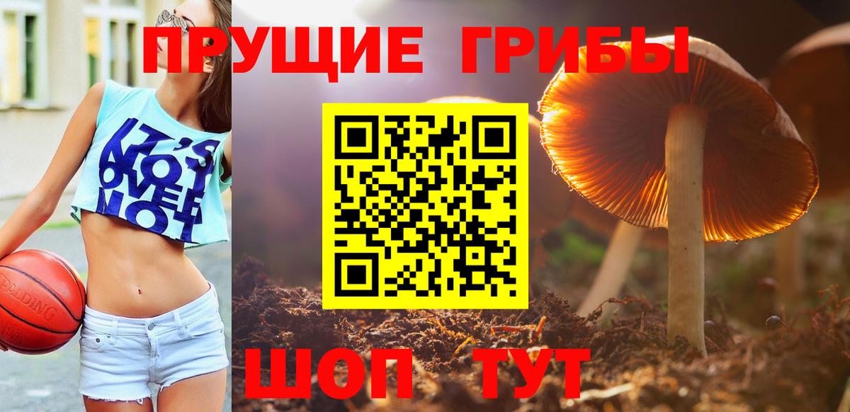 Галлюциногенные грибы Psilocybe Нижний Тагил
